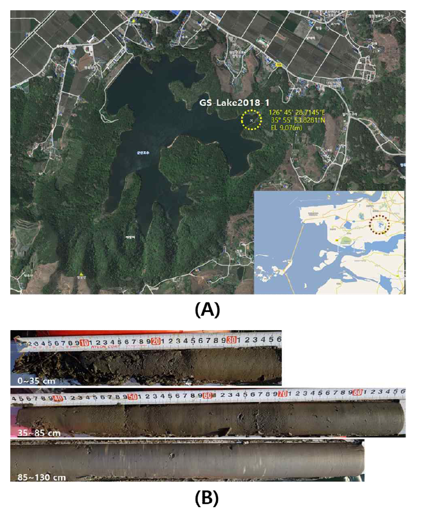 (A) shows the core sediment and soil sampling locations for Gunsan reservoir. (B) shows a photographs of sediment core