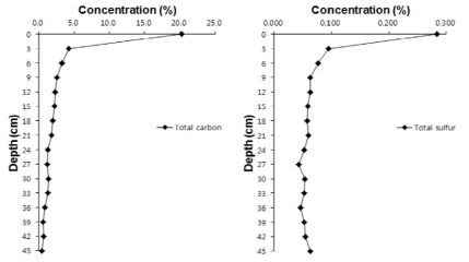 The vertical distribution of total carbon and sulfur (%) in the core sediment samples