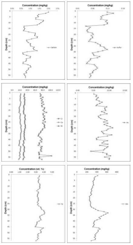 The vertical distribution of C, S, and trace elements in the core sediments