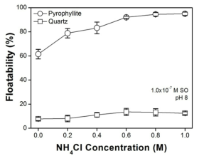 염화암모늄-SO 부유 시스템에서 납석과 석영의 부유도