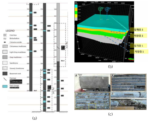 (a) TB3공의 주상도, (b) 포항센터 실증부지의 3차원 지구조 모델, (c) 단층을 보여주는 TB3의 시추코어