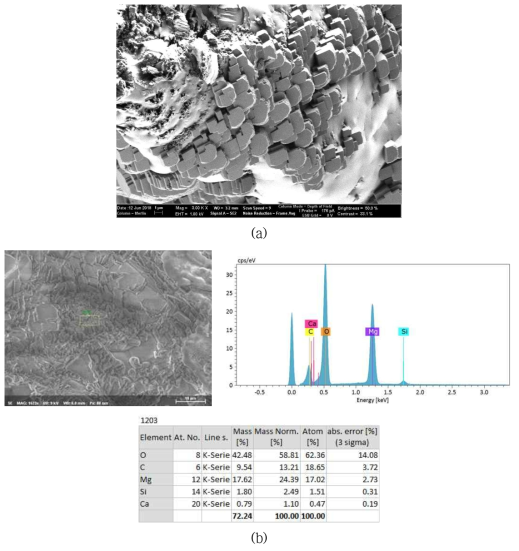 현무암의 광물탄산화 산물인 마그네사이트의 (a) FE-SEM image 및 (b) EDS 분석결과