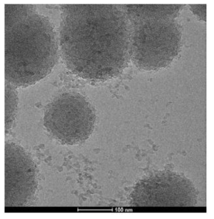 초기 합성 탄산칼슘의 Cryo-TEM image