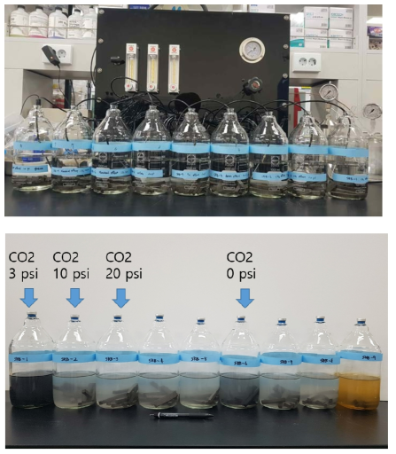 반응실험 준비(위)와 실험 후(아래) 사진