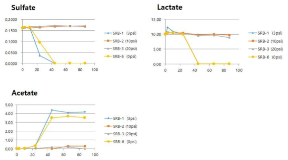 CO2 부분압에 따른 황산염과 유기산의 농도 변화