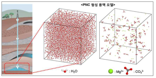 PNC 형성 용액 모델의 모식도 및 MD 시뮬레이션 시스템. PNC 형성 용액 모델 (좌)에서 가시성을 위해 물 분자를 생략하여 나타냈으며(우), 붉은색, 초록색, 회색, 흰색 공은 각각 산소, 마그네슘, 탄소를 나타냄