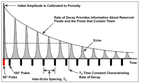 spin-echo train & transverse magnetization decay