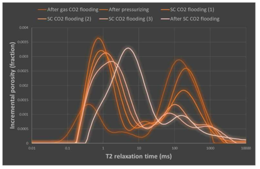 초임계 CO2 주입에 따른 오일의 T2 분포 변화