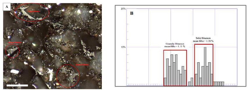 시료에 분포하는 고형 비투멘 분포 및 분포 특성에 따른 비투멘 반사도 히스토그램 (Hamed et al., 2015)