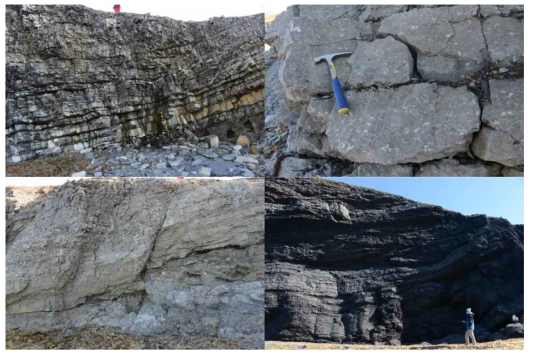 Outcrop pictures of Paleozoic carbonate and clastic formations developed in west of Festningen Section, Isfjorden, the Arctic Svalbard