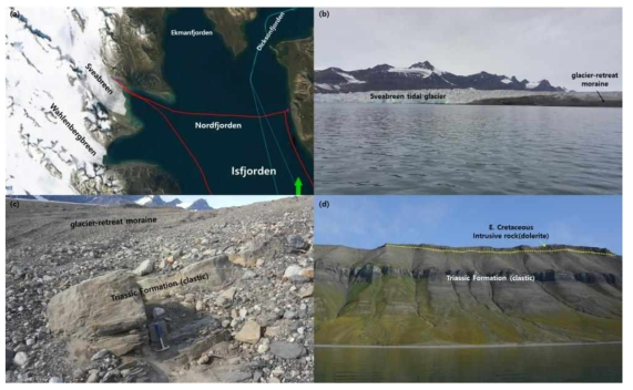 Outcrop pictures of Nordfjorden, Isfjorden of Spitsbergen, the Svalbard. (a) location map of Nordfjorden, (b) Sveabreen tidal glacier in Nordfjorden, (c) Triassic formation and glacier-retreat moraine developed in Sveabreen glacier, (d) Triassic formation overlain by early Cretaceous intrusive rock