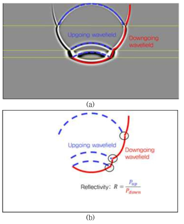 A snapshot of wavefields and imaging principle: (a) Up- and down-going wavefields marked in the snapshot. (Blue dashed lines indicate the up-going wavefields, and red solid lines indicate the down-going wavefields.) (b) Imaging principle of wave-equation-based migration. (Reflectivity is defined as the amplitude ratio between upand down-going wavefields)