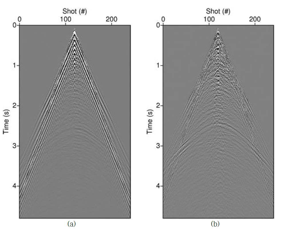 Receiver gather of 120th receiver. (a) Pressure data, (b) vertical velocity data