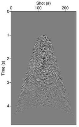 Windowed seismic data (vertical velocity data) for designing matching filter