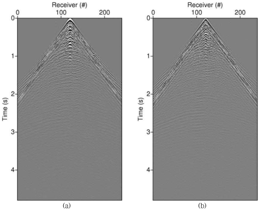 Shot gather after applying P-Z summation. (a) Up-going and (b) down-going data