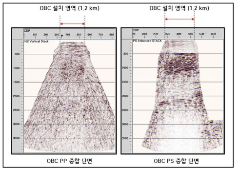 구축된 자료처리 공정을 이용하여 도출한 PP 및 PS 중합도 (18OBC-102)