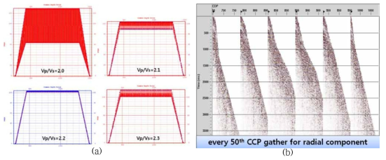 (a) 최적의 폴드맵을 보이는 Vp/Vs=2.2를 사용하여 CCP 비닝 수행한 뒤 작성한 CCP 모음도 (b)