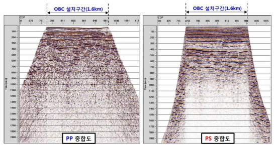 최종 도출된 PP 및 PS 중합도(해저면은 OBC가 설치된 영역만 보이는 것이 특징)