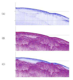 Examples of final fused profiles. (A) Chirp profiles (B) Sparker profiles (C) Combined results