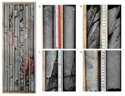 Rock core section showing fault plain in Changgi basin(Box denotes sampling site for XRD and SEM.)