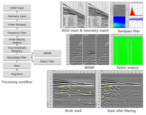 Seismic data processing workflow and applied module