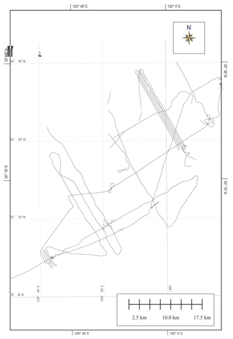 Track lines in 2019 study area