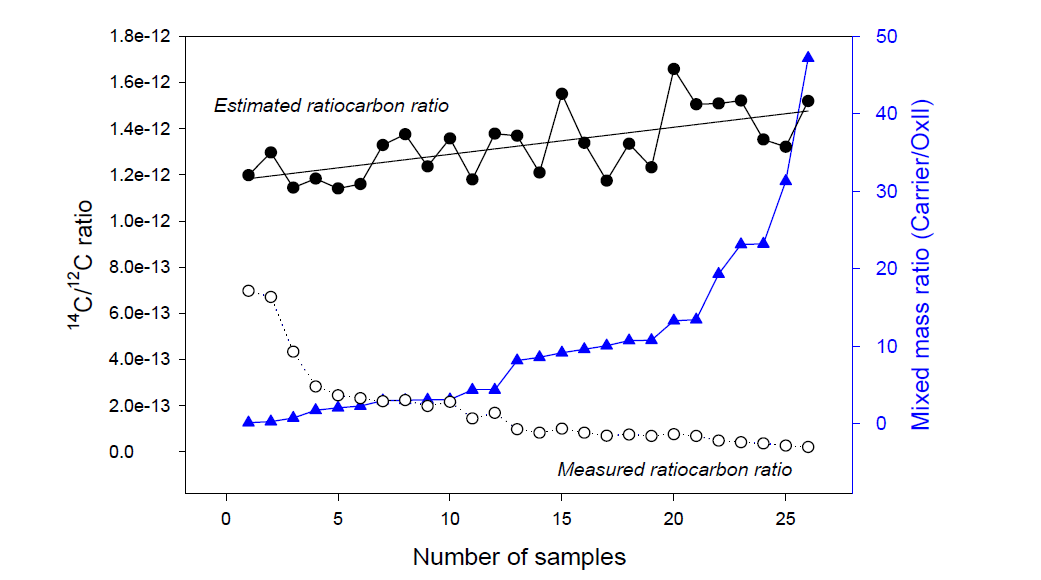 시료에 대한 캐리어 양이 늘수록 AMS로 측정된 14C/12C 비율이 일정하게 줄어드는 것에 반해 계산된 옥살산의 14C/12C 값은 흔들린다