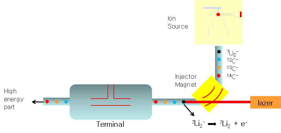 레이저를 injector magnet을 지나는 음이온들(7Li2-, 12C-, 13C-, 14C-)에 조사하면 1064nm보다 낮은 결합에너지를 가지는 7Li2-만 제거가 됨