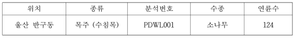 소나무 수침목 연륜정보