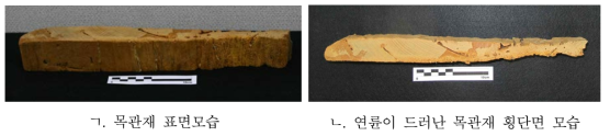 연대분석 대상으로 채취된 목관재