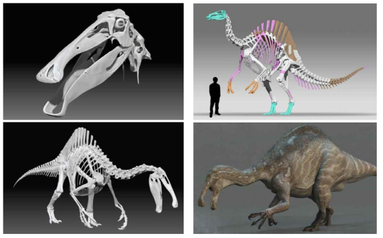 완성된 데이노케이루스 복원골격과 외형 3D 모델