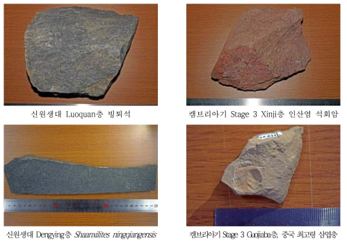 2018년도 중국에서 채취한 대표적 지질표품 사진