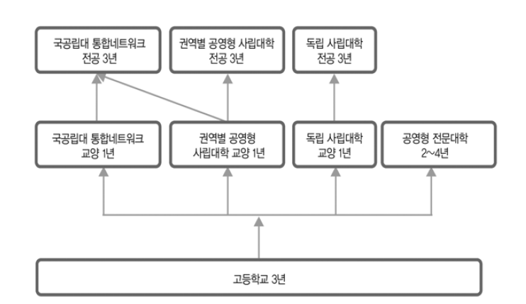 대학체제 개편 1단계의 세 가지 과정