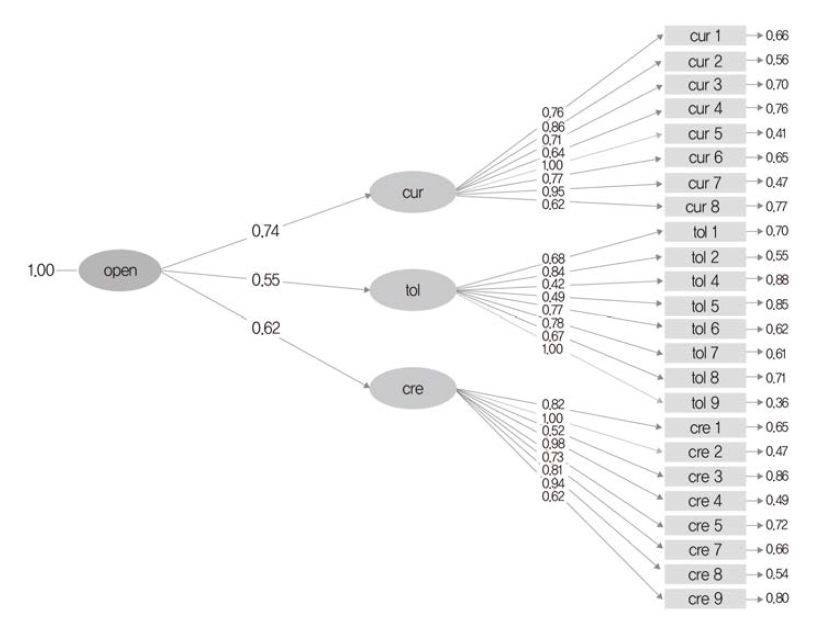 ‘개방성’ 영역 사회정서역량 측정모형