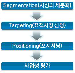 STP 분석