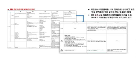 해외 DEC 추진동향 비교검토