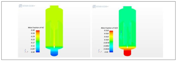 하부에서 수소주입 시 수소 및 증기농도 비교 (t=6820초)