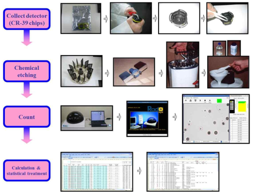 검출의 회수, 화학 식각(etching), 비적판독, 라돈 농도 산출 절차