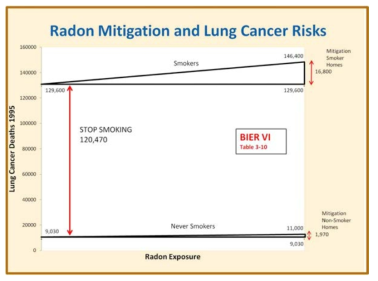 라돈 저감과 폐암 위험도 (Zarnke at al., 2019)