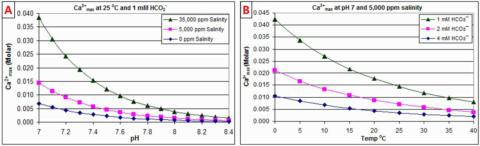 Calcite dissolution에 영향을 주는 인자(A: Salinity와 pH, B: Temperature)