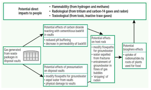 처분장으로부터 생태계까지 기체 발생 및 이동의 영향