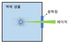 레이저 핵감식 기술을 적용하기 위한 액체 샘플 챔버