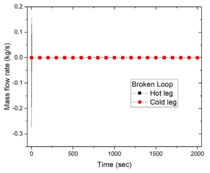 고온관과 저온관에서의 질량유량(Broken loop)