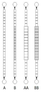 Nodalization of the vertical pipe test