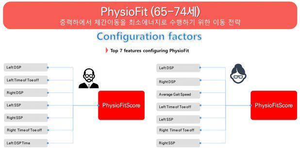 운동프로그램 자동생성을 위한 수정된 건강점수2 (PhysioFit)의 Main Features 1