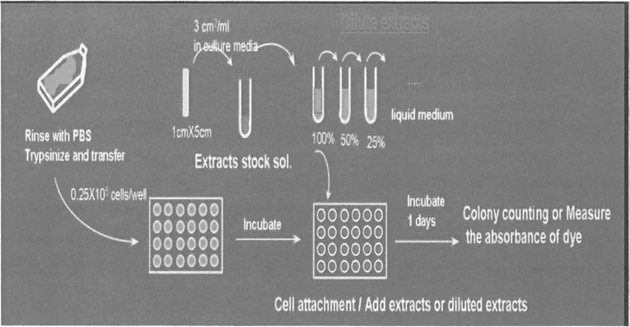 Cytotoxicity test by eluents dilution method