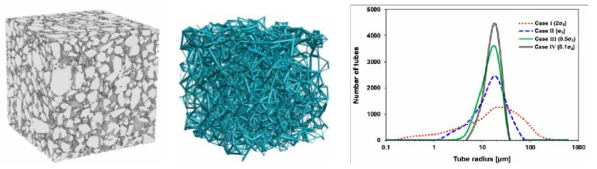 (좌) 시료의 X-ray 이미지. (중) 생성된 tube-network 모델. (우) Tube size distributions