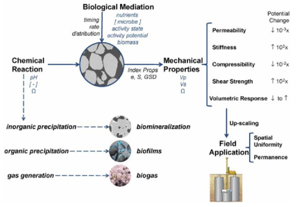 박테리아를 이용한 지반개량 (figure from DeJong et al.2010)