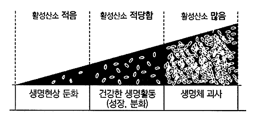 활성 산소의 장점과 단점