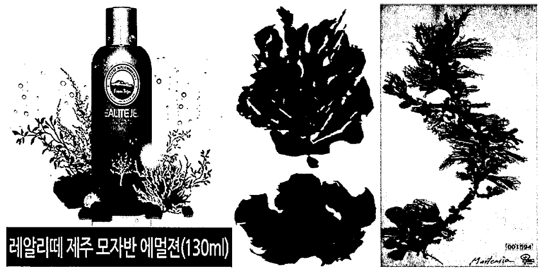 모자반 (좌)，담배잎산말 (중), 비바리비단망사 (우) 화장품 제품 및 사진